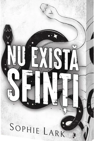 Nu exista sfinti. Seria Sinners Duet Vol.1