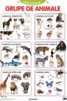 Descopera! Grupe de animale (planse educationale)