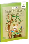 Pupaza din tei