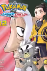 Pokemon: Sword & Shield - Volume 12