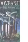 Noptile de sanziene
