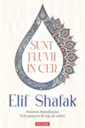 Sunt fluvii în cer