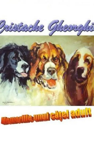 Memoriile unui cățel adult