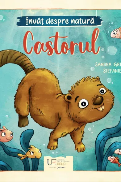 Invat despre natura - Castorul