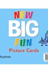 Big Fun Refresh Level 1 Picture Cards
