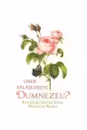 Unde sălășluiește Dumnezeu? Povestiri pentru copii, părinți și bunici