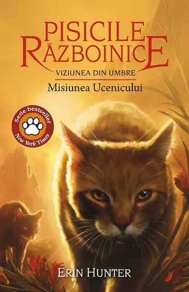 Pisicile Razboinice. vol 31 Viziunea din umbre: Misiunea Ucenicului