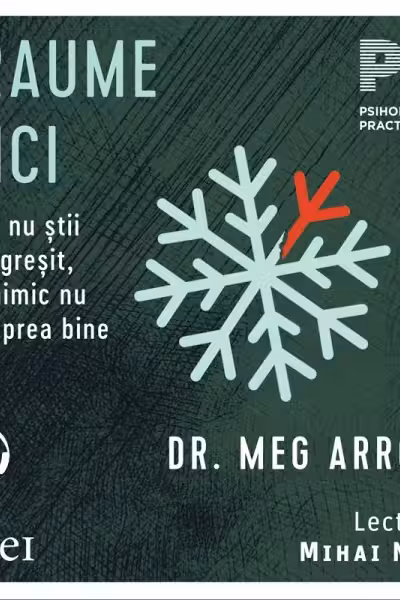 Traume mici (audiobook)