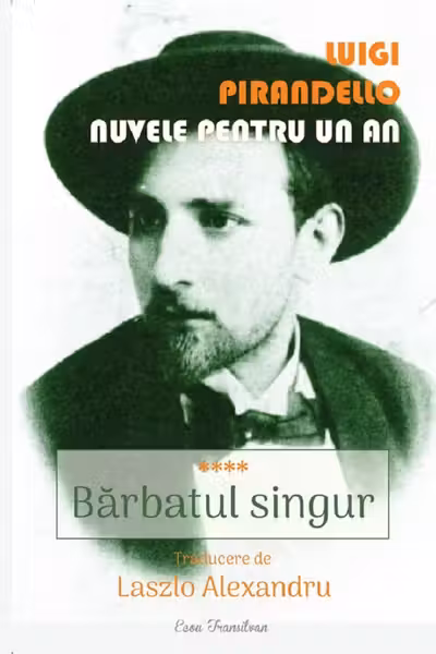 Nuvele pentru un an. Vol.4: Bărbatul singur