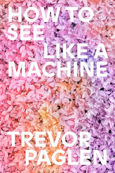 How to See Like a Machine
