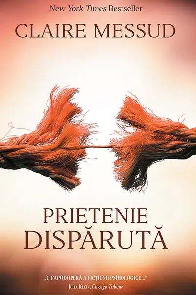 Prietenie disparuta