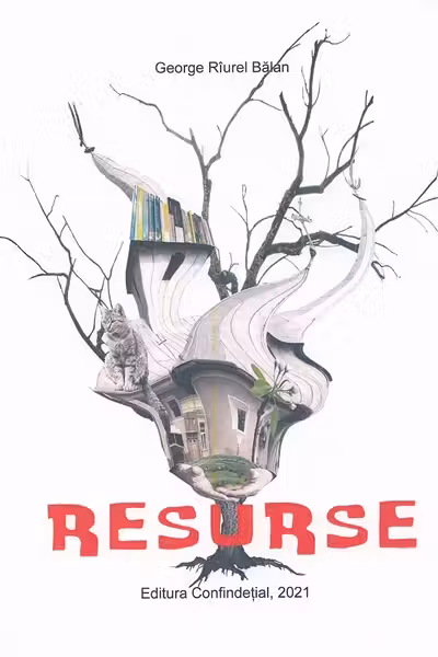 Resurse