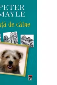 Viața de câine