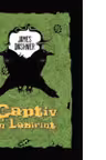 Captiv in labirint