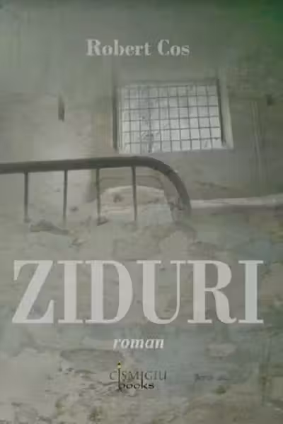 Ziduri