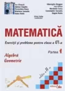 Matematica - exercitii si probleme pentru clasa a VI-a, partea I