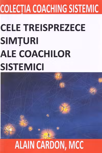 Cele treisprezece simțuri ale coachilor sistemici