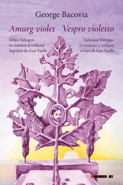 Amurg violet. Vespro violetto