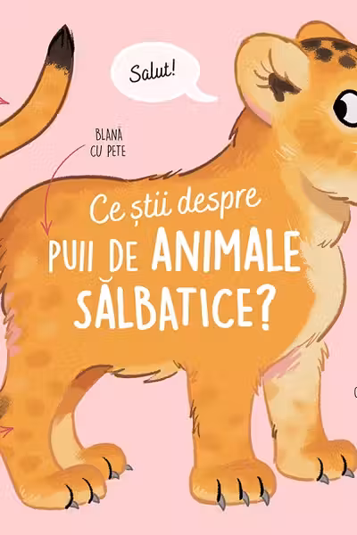 Ce stii despre puii de animale salbatice?