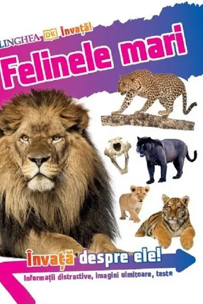 INVATA - FELINELE MARI