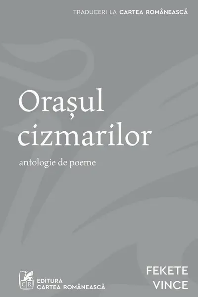 Orasul cizmarilor
