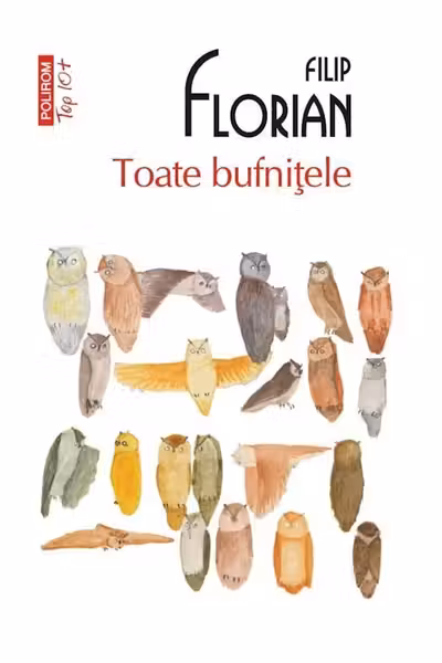 Toate bufnițele