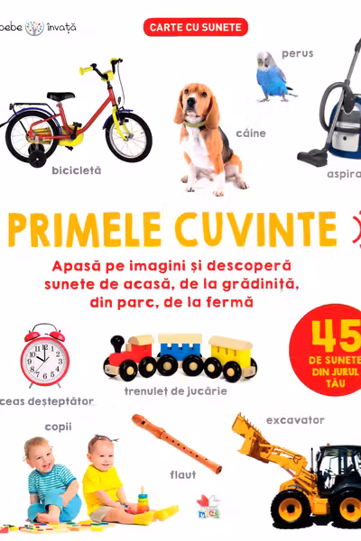 PRIMELE CUVINTE. 45 de sunete din jurul tau