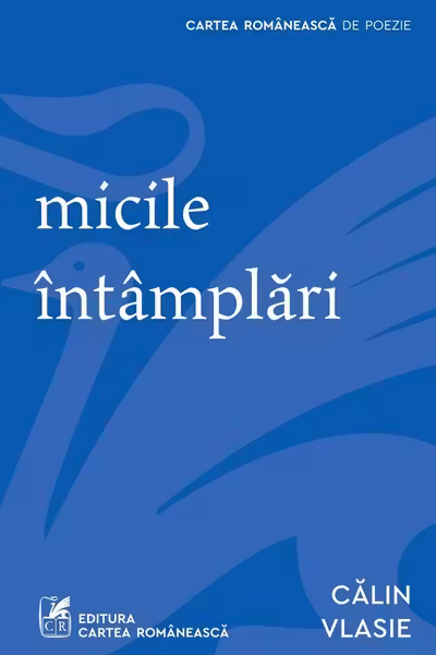Micile intamplari