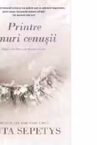 Printre tonuri cenusii