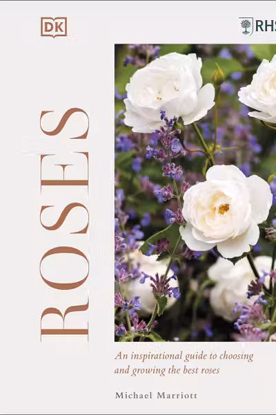 RHS Roses