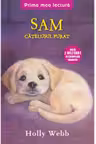 Prima mea lectura. Sam catelusul furat.