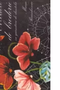 Modele de broderie cu garnituri de dantela