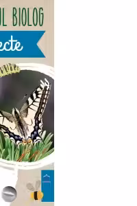 Micul Biolog - Insecte