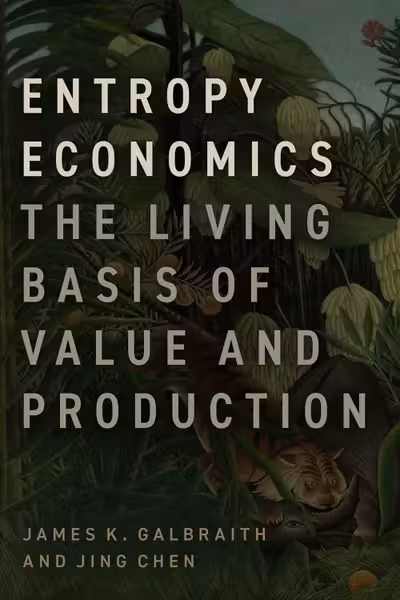 Entropy Economics