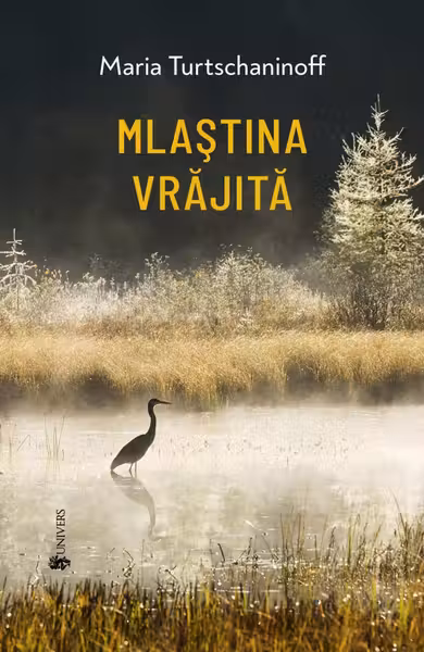 Mlastina vrajita