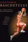 Anatomia baschetului