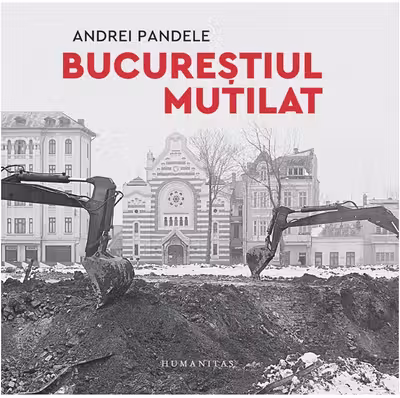 Bucurestiul mutilat