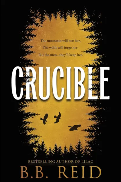 Crucible