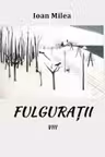Fulgurații Vol.8