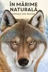 Animale din padure