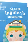 Ce este ingineria structurala