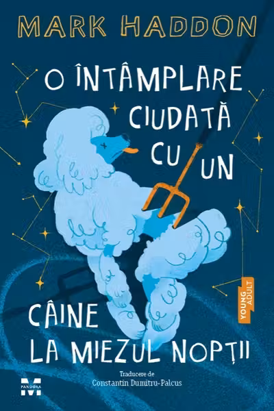 O intamplare ciudata cu un caine la miezul noptii