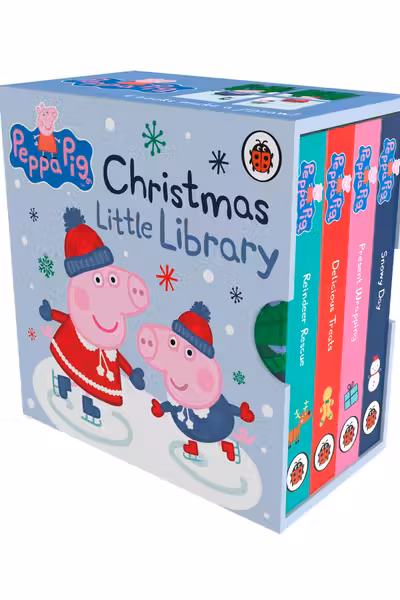 Christmas Little Library