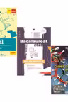 Pachet Bacalaureat 2026. Eseul. Literatura Romana. Pregatire individuala pentru proba scrisa, Matematica M_Mate-Info si Chimie organica pentru liceu. Sinteze. Probleme. Teste - Liliana Paicu, Gheorghe Iurea, Elena Alexandrescu