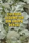 Cultura legumelor din grupa verzei