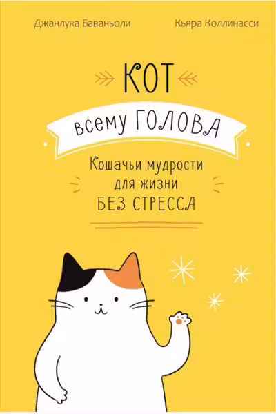 Кот всему голова