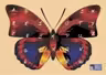 Puzzle Alfabet Rosu