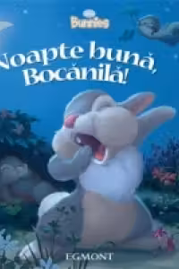 Noapte buna, Bocanila!
