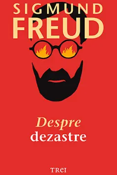 Despre dezastre