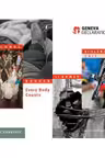 Global Burden of Armed Violence 2015: Every Body Counts